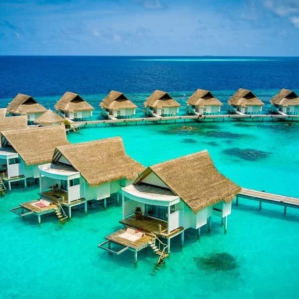 Travology Dashboard Logo